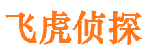 滨湖侦探公司